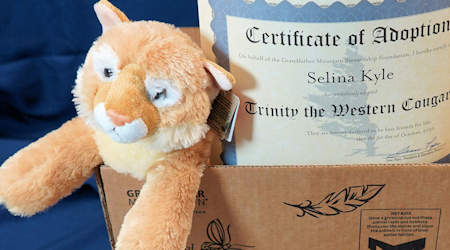 Adopt an Animal at Grandfather